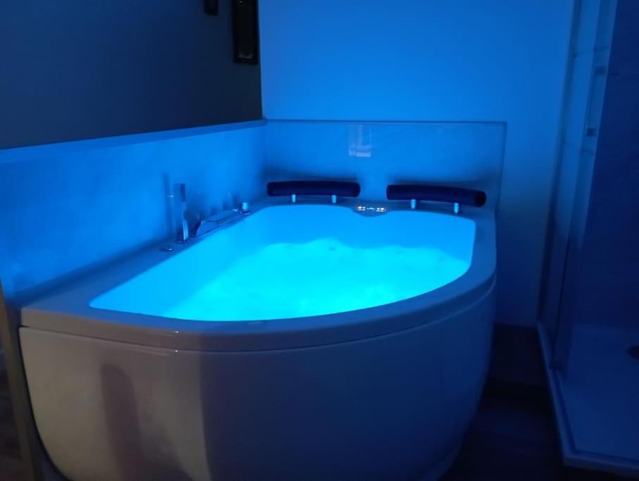 Sejour Sauna Et Jacuzzi Cocon La Roche-sur-Yon Ngoại thất bức ảnh